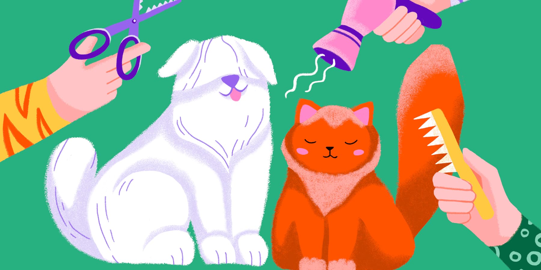 Груминг собак и кошек в Суворове